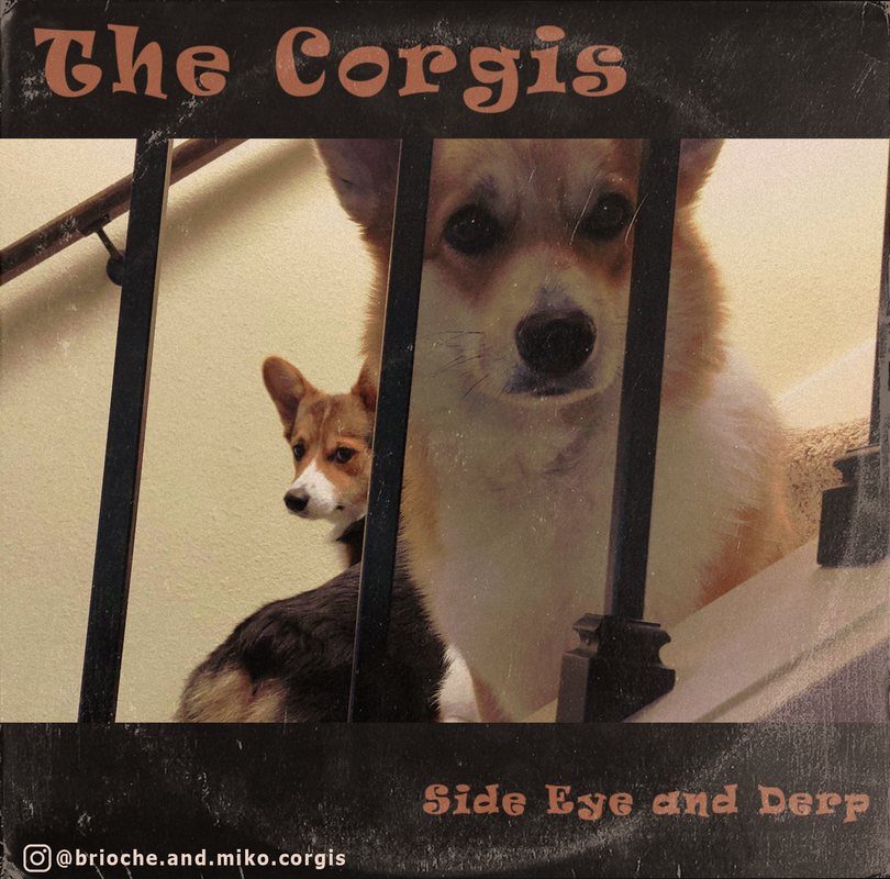 Corgi Passport Holder - Three Corgis Official SHOP & BLOG